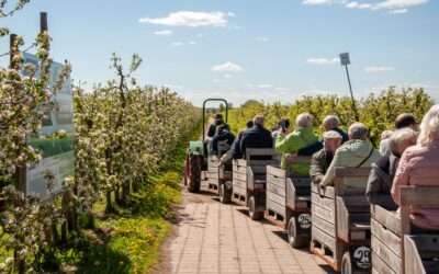 Ein Dorf fährt aus – Bustour ins Alte Land zur Apfelblüte